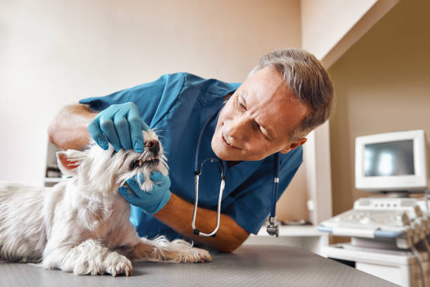 Best Pediatric Emergency Dentist in Lake Darby, OH